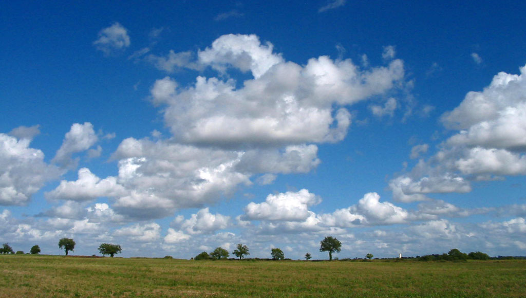 Cumulus