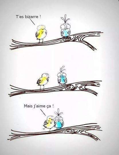 T es bizarre mais j aime ca