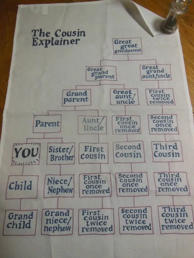 The Cousin Explainer