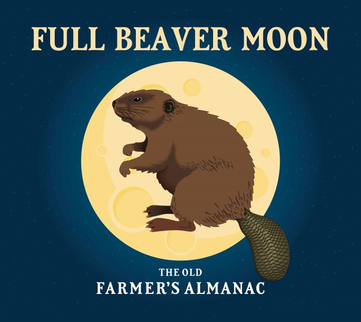 Full Beaver Moon