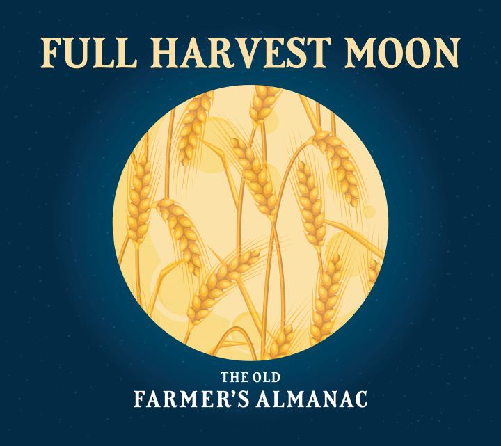 Full Harvest Moon