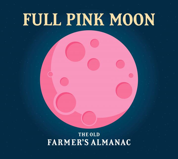 Full Pink Moon