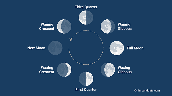 All moon phases