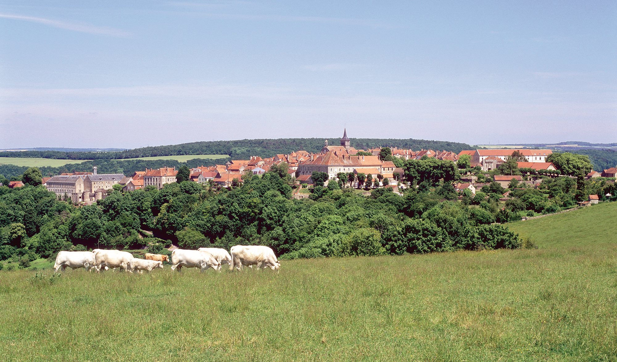 Flavigny-sur-Ozerain