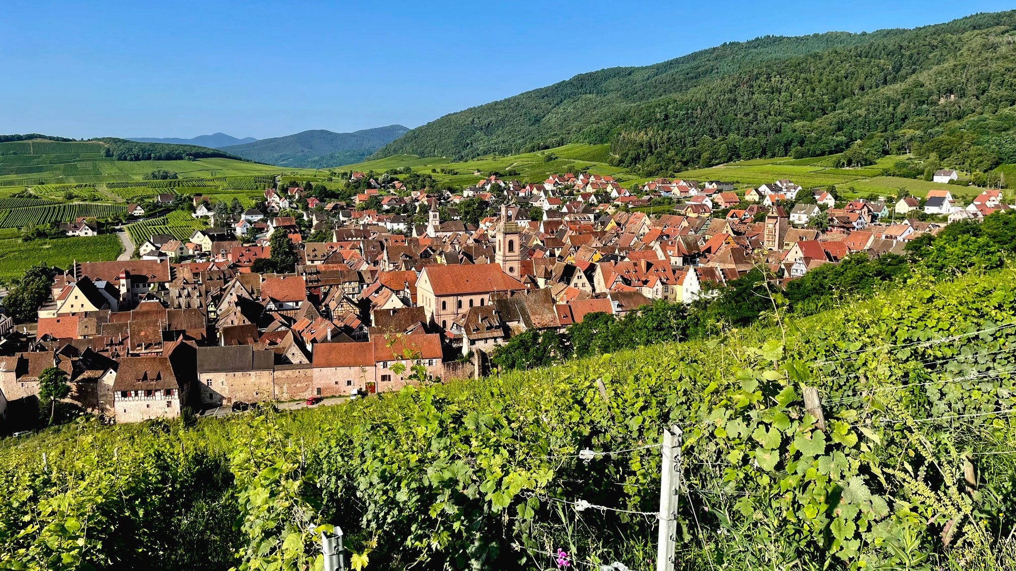 Riquewihr