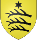 Blason